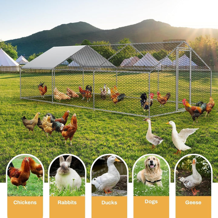 Large Metal Chicken Coop with Walk-in Run, Galvanized Wire Enclosure, and Waterproof UV Protection (10' L x 26' W x 6.56' H)