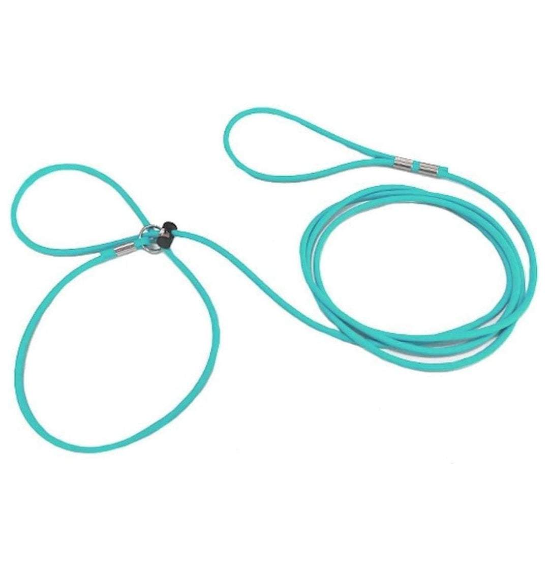 12-Foot Mini Pig Harness - Adjustable Harness & Leash for All Animals - Pigs, , Rabbits, Guinea Pigs, Dogs, Cats, Reptile, and Chickens