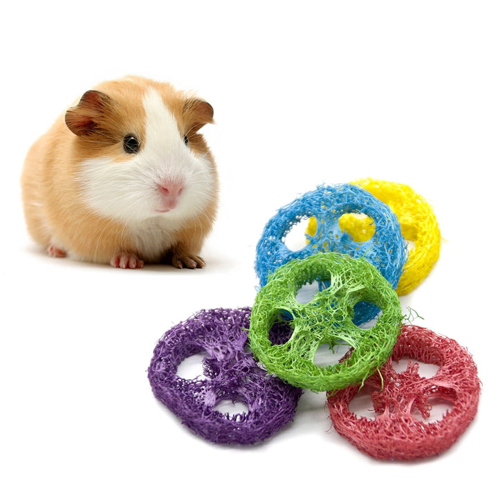 CIYISON Rabbit Chew Toys for for Health Natural Material Handmade 20Pcs Loofah To