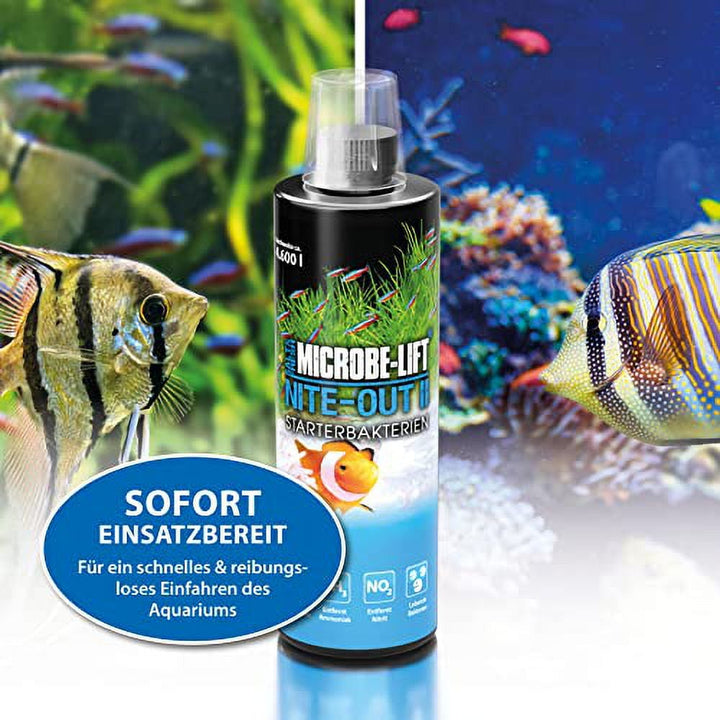 NITEH64 Nite-Out II Aquarium and Fish Tank Cleaner for Rapid Ammonia and Nitrite Reduction, Freshwater and Saltwater, 64 Ounces