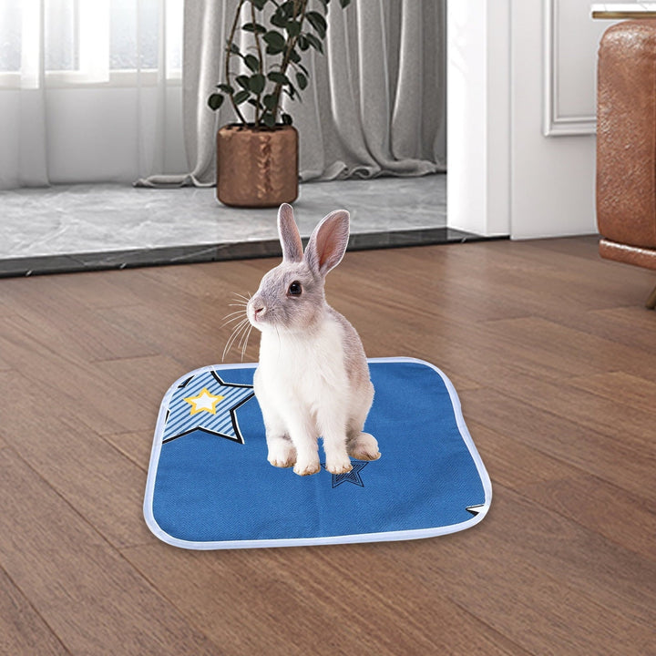 Eease 4pcs Guinea Pig Cage Liners Washable Guinea Pig Pee Pads Small Animals Rabbit Pee Pads Mixed Style