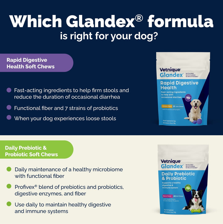 Glandex Rapid Digestive Support Chews for Dogs with Occasional Diarrhea, Chicken, 25ct.