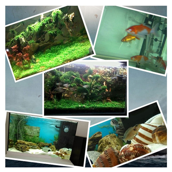 WINDLAND Aquarium Nitrifying Bacteria Super Concentrated Capsule Fish for Tank Pond Cleaning Water Purifier Supplies