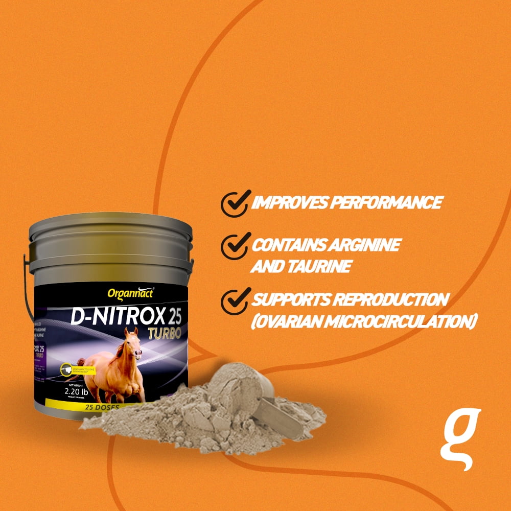 Organnact D NITROX 25 TURBO Equine Supplement - Performance&Energy with Arginine and Taurine 2,2lb (1kg)