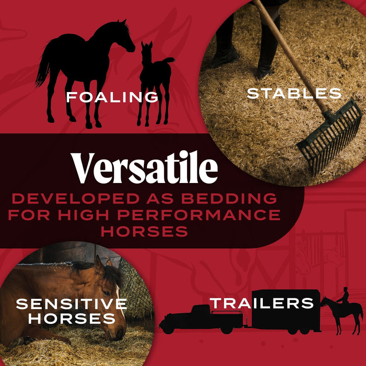 HealthiStraw EquineStraw, 3 cu ft - All-Natural Wheat Straw Bedding for High-Performance Horses, Foaling and Trailers - Horses with Respiratory or Sensitive Skin Issues- Sustainably Sourced - Cleaned