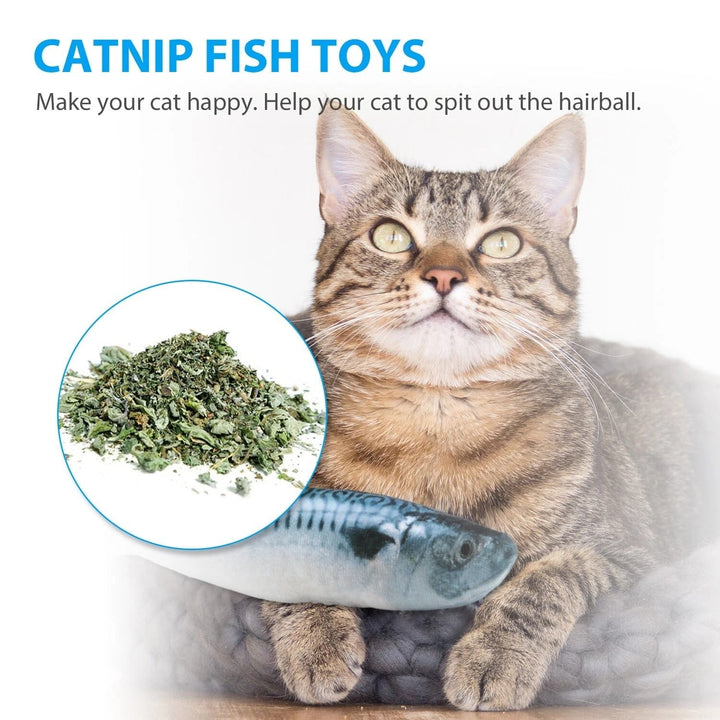 5 Pack Realistic Interactive Fish Cat Kicker Crazy Pet Toy Catnip Toys Gifts
