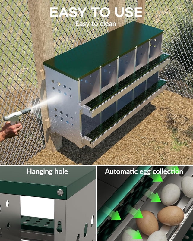 Green Metal Chicken Nesting Box for Laying Eggs, Rustproof Wall-mountable Roll Away Chicken Laying Boxes for Hens, Waterproof, Ventilated with Perch, 10 Compartments