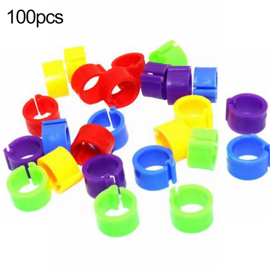SeekLGT Chicken Leg Bands,Chick Leg Bands,100 Pieces Chicken Leg Rings Chicken Identification Leg Poultry Leg Clip On Leg Rings For Chicken Random Color