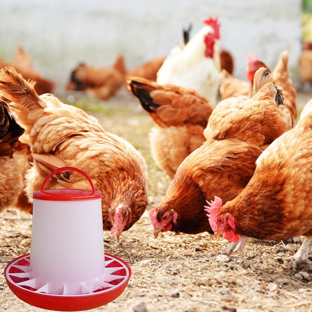 Chick Feeder, Waterer Hanging Poultry Feeder Kit Bird Small Poultry Feeder Flip Top Bird Small Poultry Feeder for Pigeon Chicke Feeder Small Poultry Feeder Drinker Duckling Quail Feeder