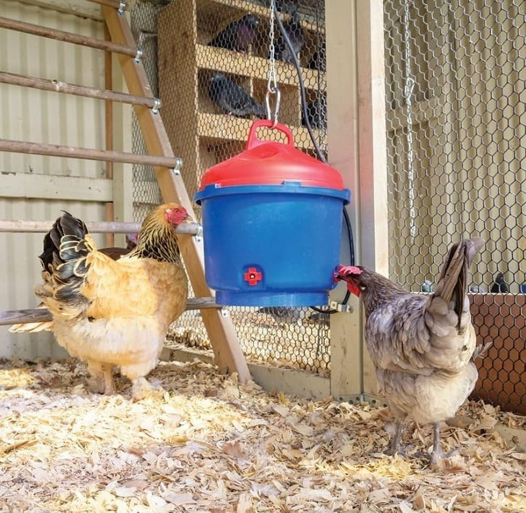 All-Season Heated Poultry Waterer for Chickens and Ducks - 3 Gallon