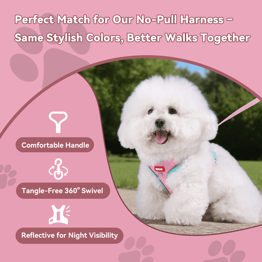 NOYAFA Dog Harness & Leash No Pull Puppy Harness for Small to Medium Dogs, Cats ,Reflective Adjustable Soft Padded D-Rings Pet Harness with Hook & Loop Fastener, Buckle （Pink S）