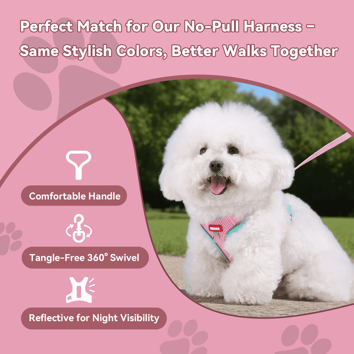 NOYAFA Dog Harness & Leash No Pull Puppy Harness for Small to Medium Dogs, Cats ,Reflective Adjustable Soft Padded D-Rings Pet Harness with Hook & Loop Fastener, Buckle （Pink S）