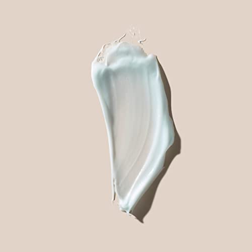 AHAVA Men's Mineral Hand Cream - Nourishing & Fast-Absorbing, Smoothes & Relieves Hands, Prevents Dryness, enriched with G-Force: Ginger Root, Ginseng, Ginkgo Biloba Leaf & Green Tea, 3.4 Fl.Oz