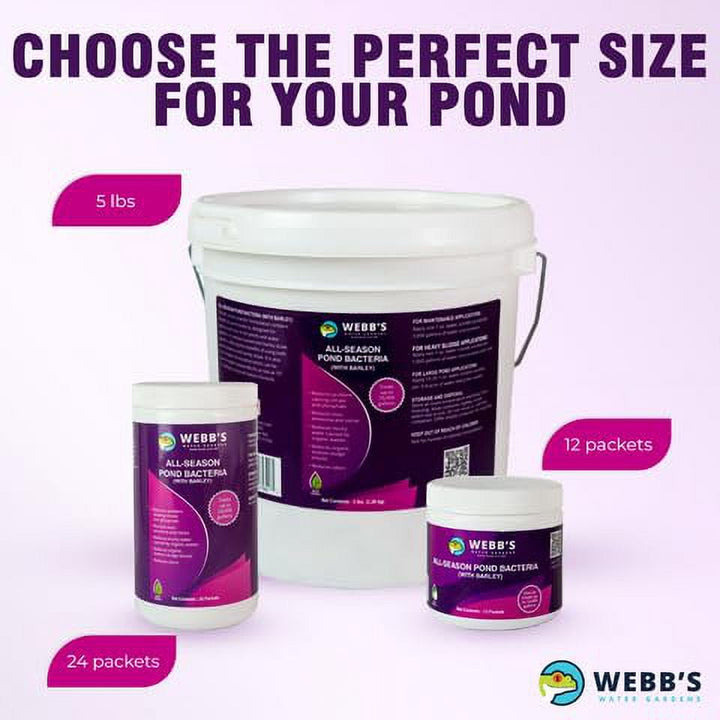 Webb's Water Gardens All-Season Pond Bacteria with Barley Packets - Supports up to 1000 Gallons - 12 Packets for Easy Application - 5 Pounds - Ideal for Clearing Pond Water and Mai