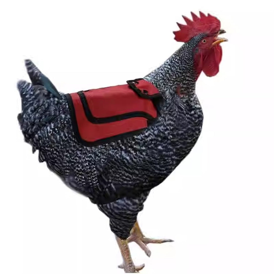 3Pcs Chicken Saddles for Hens - Adjustable Hen Aprons with Side & Back Protection, Comfortable Poultry Feather Protector Vests for Roosting & Mating (Red/Blue/Purple)