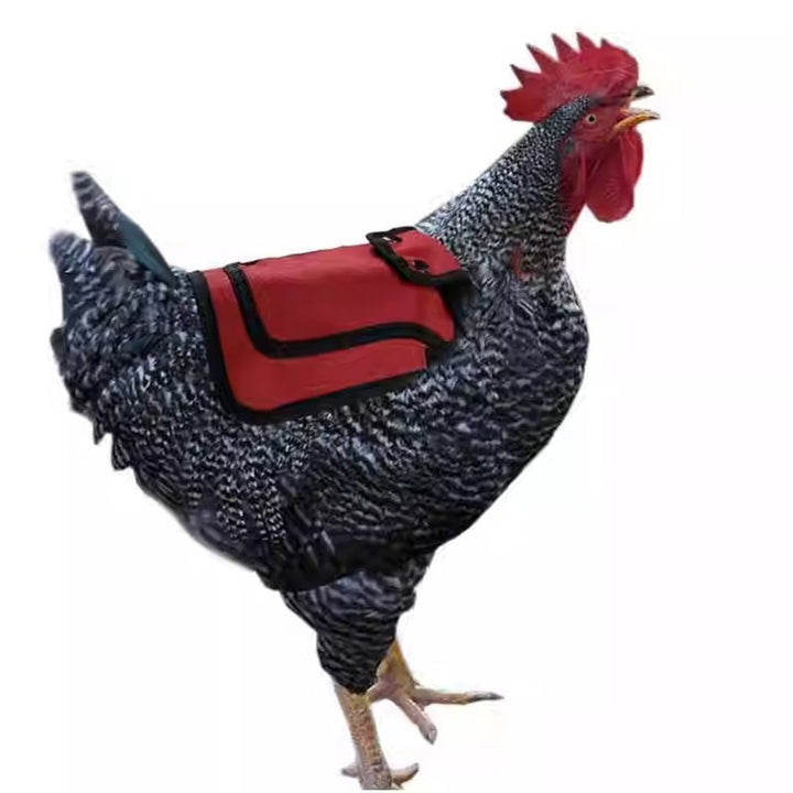 3Pcs Chicken Saddles for Hens - Adjustable Hen Aprons with Side & Back Protection, Comfortable Poultry Feather Protector Vests for Roosting & Mating (Red/Blue/Purple)