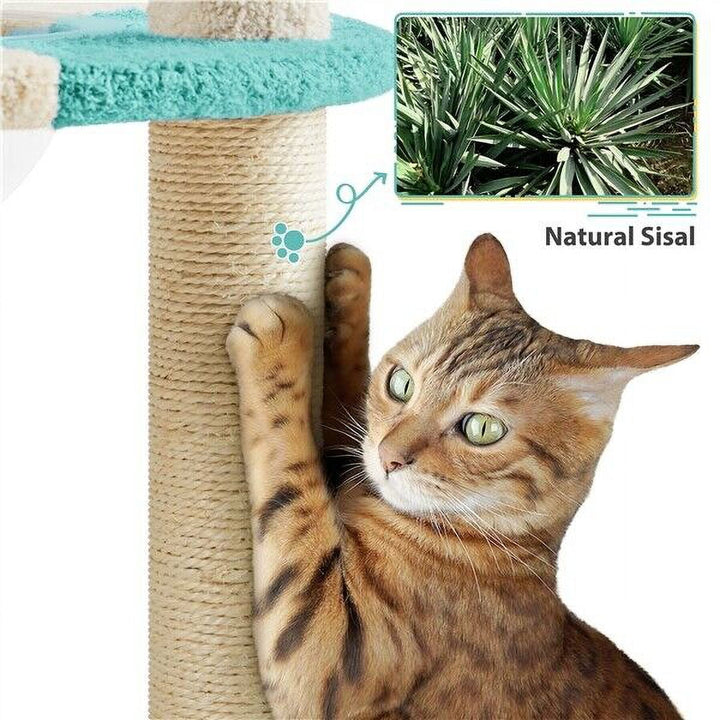 35.5in Cat Tree Tower w/ Clear Capsule, Perch, Scratching Posts for Indoor Cats