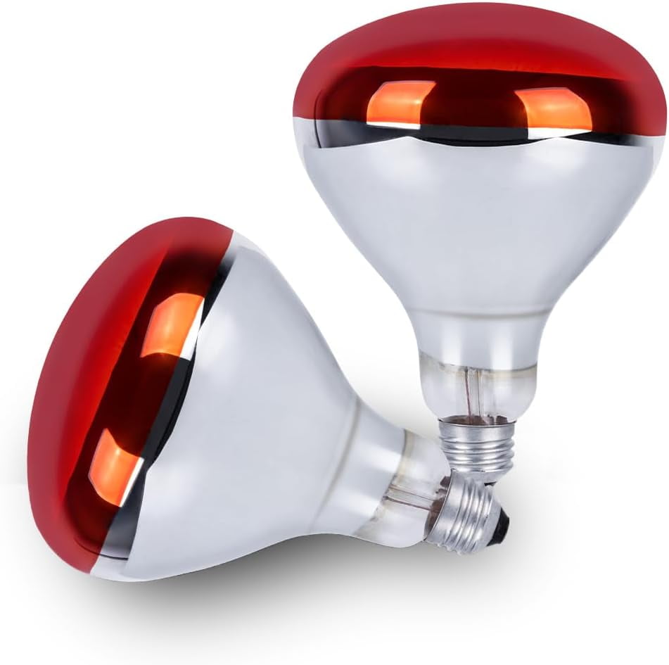 250 Watt Heat Lamp Bulbs for Chicks, R40 Brooder Heat Lamp for Chickens, Infrared Reflector Heat Bulbs for Brooder Heater, Incandescent Spotlight for Pet, Bathroom, Food (2 Pack)