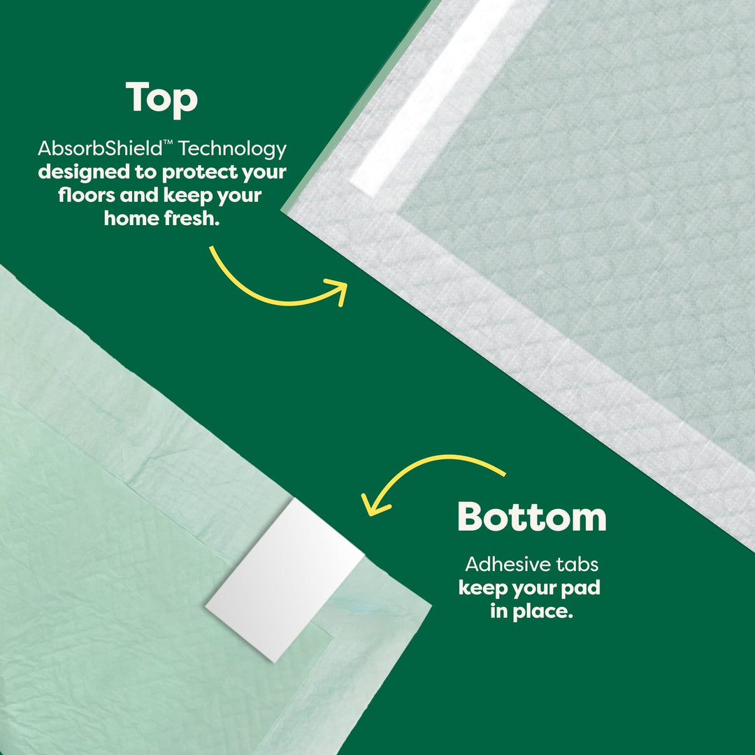 Earth Rated Leak-proof Pee Pads for Dogs and Puppies, 2X Faster Absorption*, Unscented, XXL, 30x36 in., 25ct