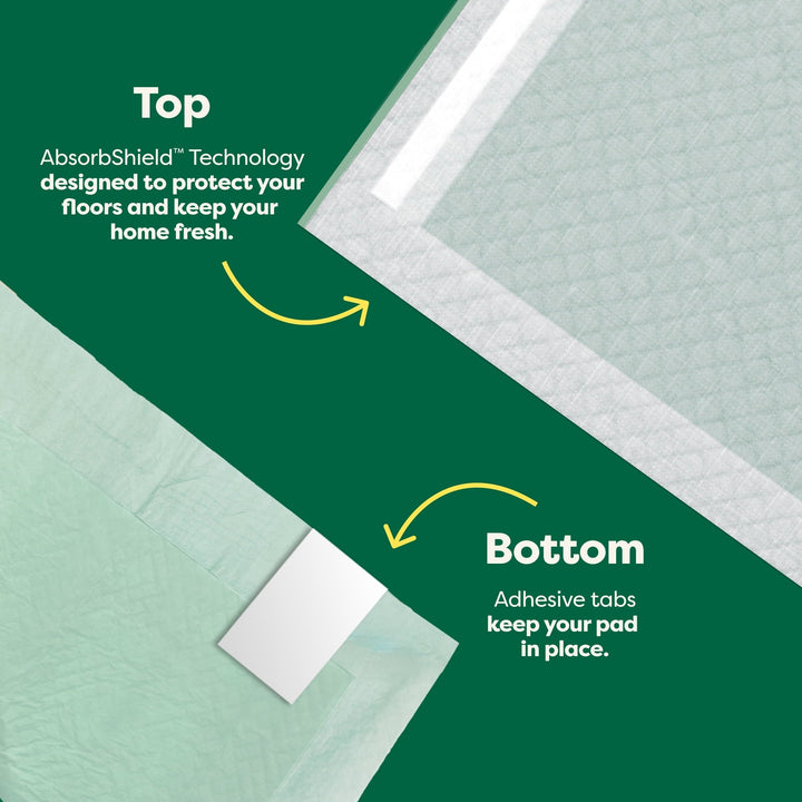 Earth Rated Leak-proof Pee Pads for Dogs and Puppies, 2X Faster Absorption*, Unscented, XXL, 30x36 in., 25ct