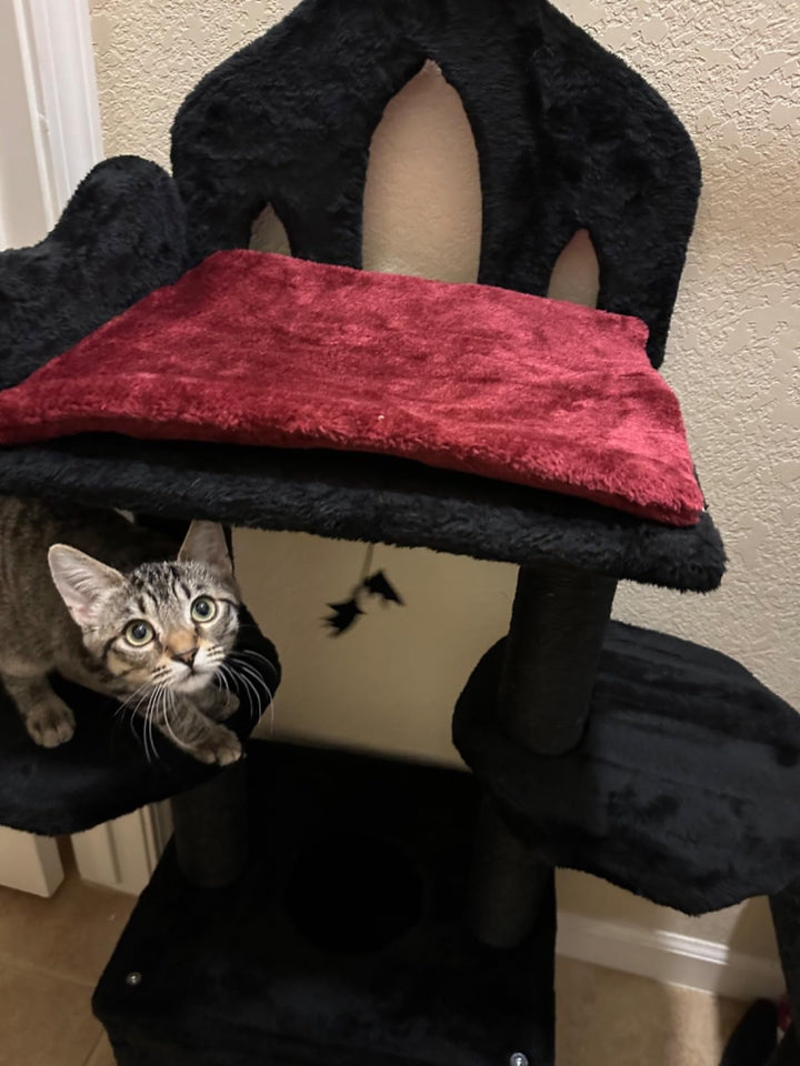 PawNest   black gothic cat tree, Black