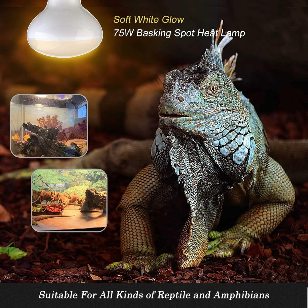 75W Reptile Heat Lamp Combo Set-Reptile Day and Night Heat Lamp,UVA Basking Spot Bulb for Bearded Dragon Lizard Turtle Snake Chameleon Use, 4 Pack
