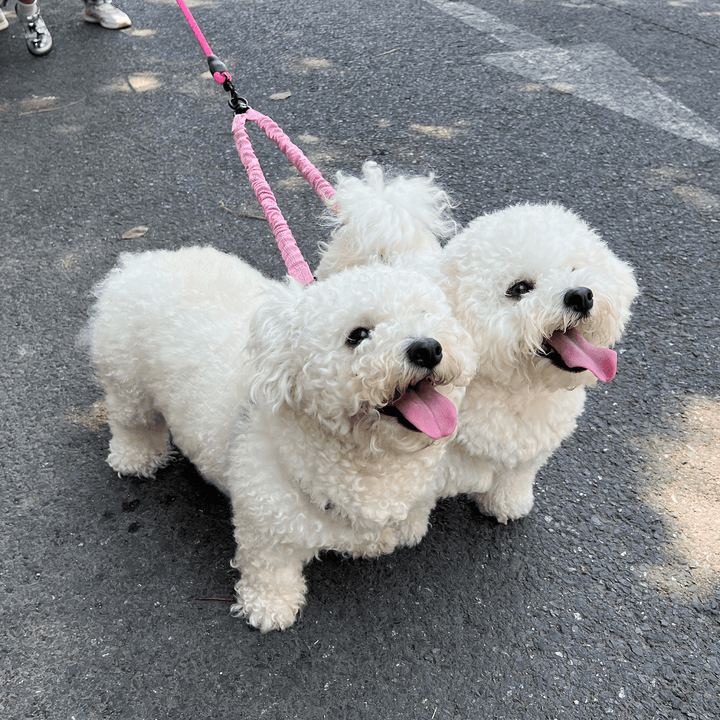 Double Dog Leash for Walking 2 Dogs - Tangle-Free 360° Swivel & Shock-Absorbing Bungee(Pink)