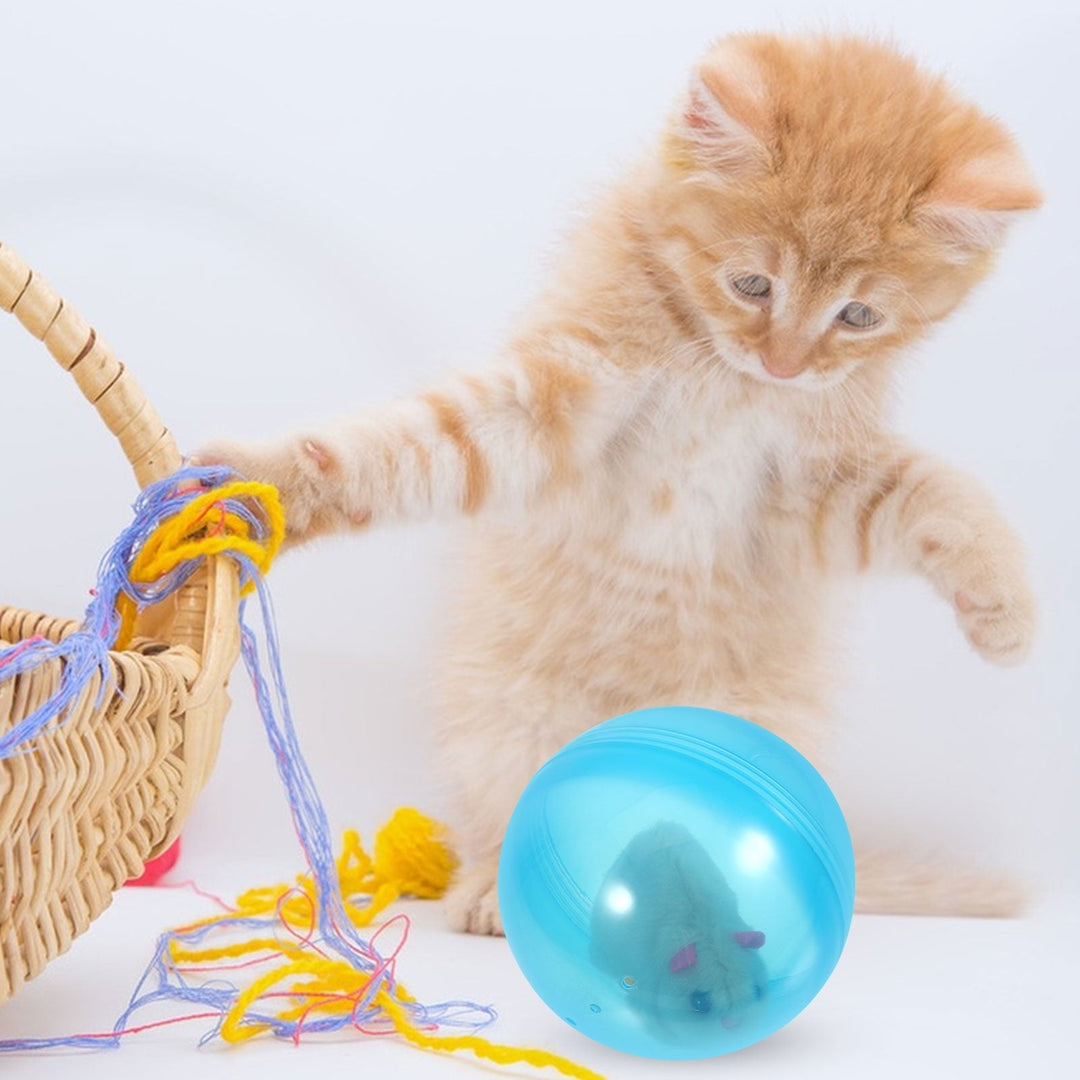 Hamster Ball Toys Battery Operated Hamster Ball Toy Cartoon Animal Ball Toy Eco-friendly Hamster Ball Toy Pet Ball Toys