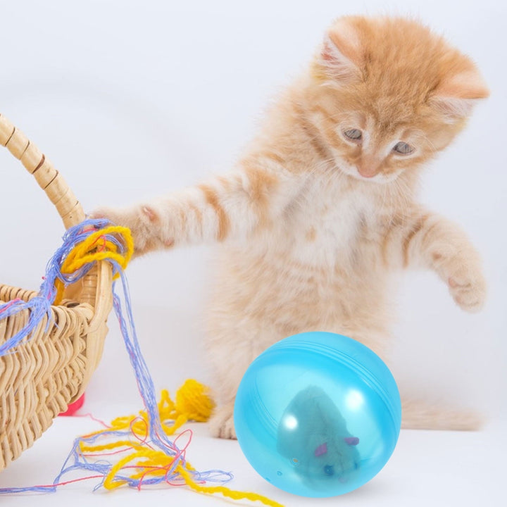 Hamster Ball Toys Battery Operated Hamster Ball Toy Cartoon Animal Ball Toy Eco-friendly Hamster Ball Toy Pet Ball Toys
