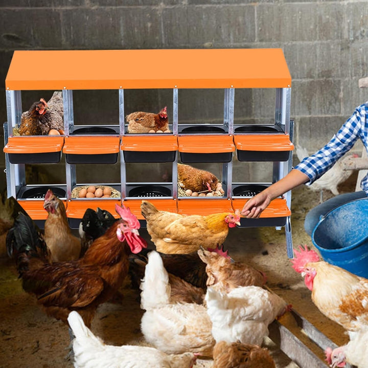 Pinypikaka Chicken Nesting Box with Bracket Legs, 10 Compartments Nesting Boxes for Chickens, Chicken Laying Boxes, Roll Away Nesting Box for Chickens Laying Egg with Lid Cover