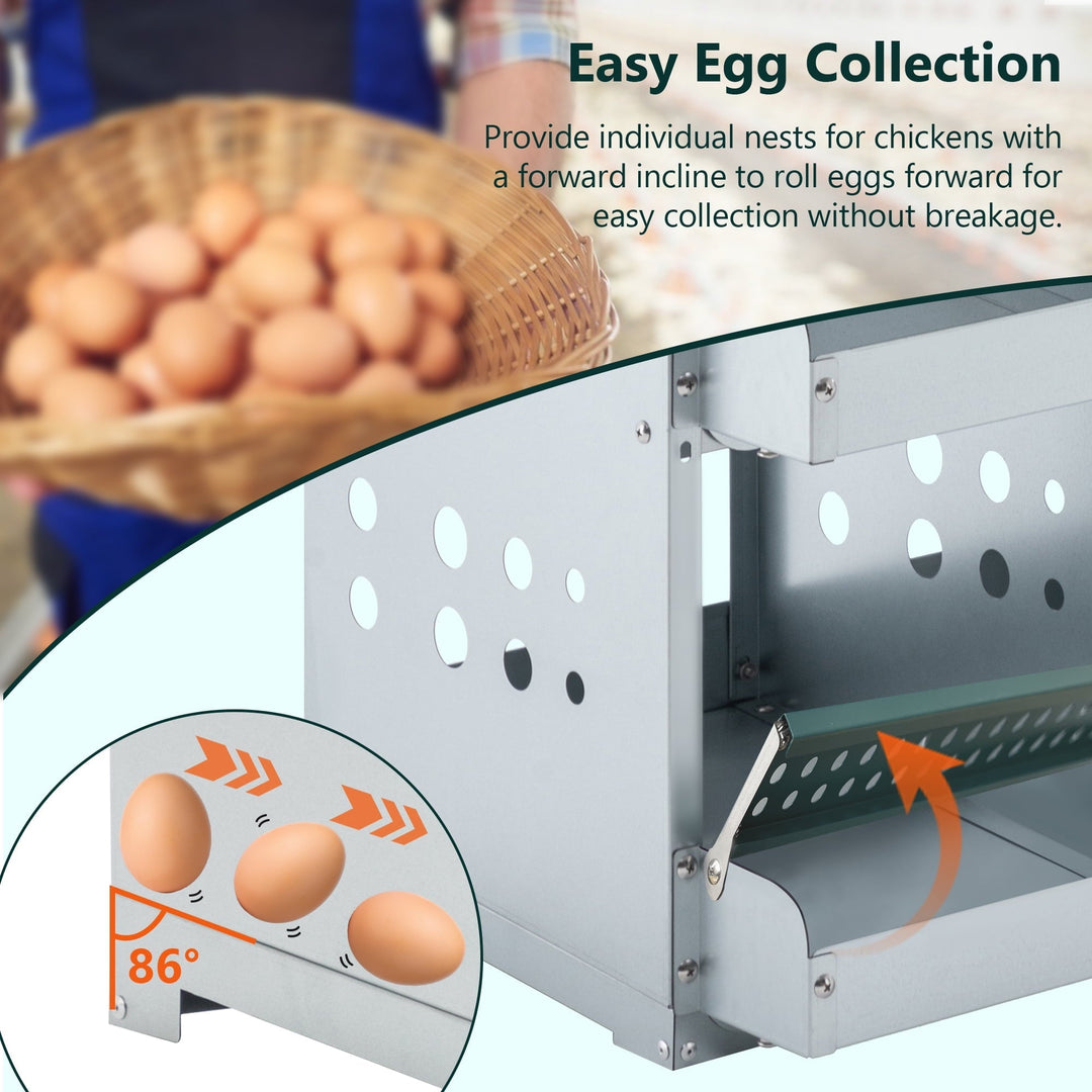 Zephypaws 4 Compartments Wall Mount Chicken Nesting Boxes for Laying Eggs, Hen Nest Box Roll Away Chicken Laying Boxes, Green