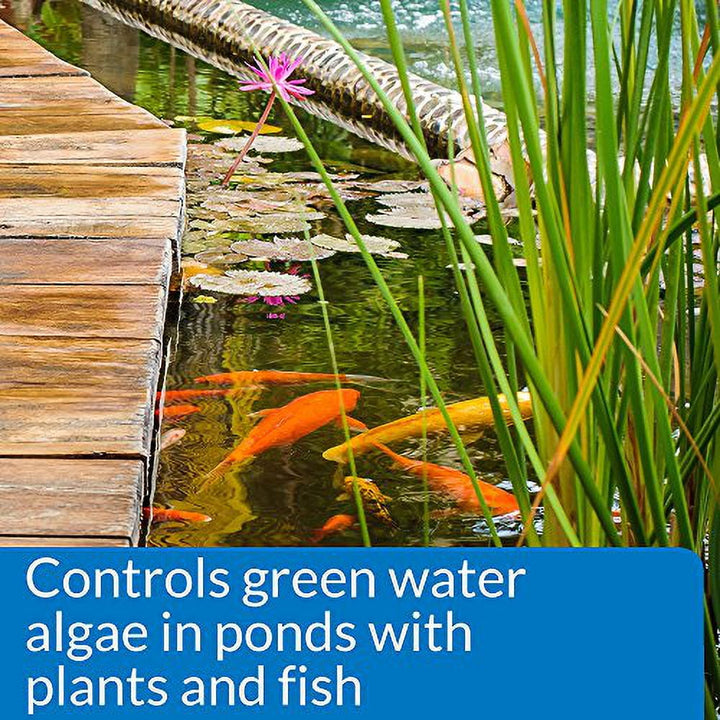 API PONDCARE MICROBIAL ALGAE CLEAN Green Water Biological Inhibitor (269D) 64-Ounce