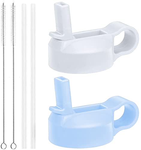 The Mass Wide Mouth Straw Lid Compatibility Most Sports Water Bottle (White & Frost)