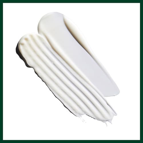 Aveda Nutriplenish Conditioner Light Moisture | Superfood Conditioner for Dry Hair | Organic Pomegranate Oil, Coconut Oil, Mango Butter | 96% Naturally Derived*