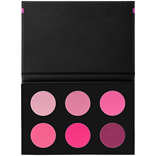 SHANY Shimmer & Matte Cool-Toned Blush Palette - Layer 5 - Refill for the 6 Layer Mini Masterpiece Collection Makeup Set
