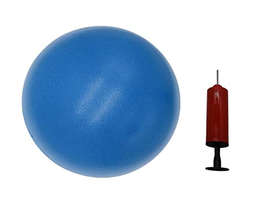CIZEBO Small Exercise Ball for Between Knees, 6 inch Pilates Ball with Pump, Mini Yoga Core Ball Physical Therapy, Blue