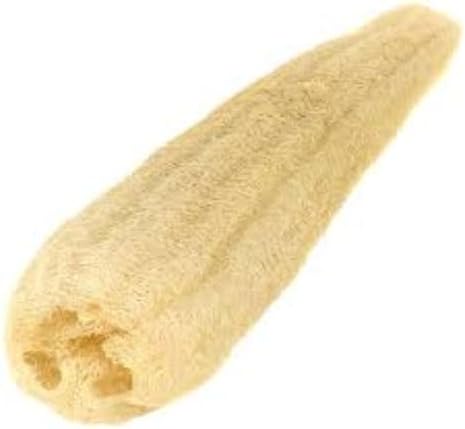 One Whole Egyptian Loofah 100% Natural SPA Beauty Bath Sponge Body Scrubber Puff. Premium Quality Lofa Loofa Luffa Loffa for exfoliating Your Skin.
