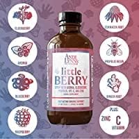 Andi Lynn’s Littleberry and Winterberry Syrup Bundle – 100% Natural and Organic Elderberry Syrups for Kids and Adults – Immunity Booster – Great Tasting Elderberry Syrup (4 OZ Each)