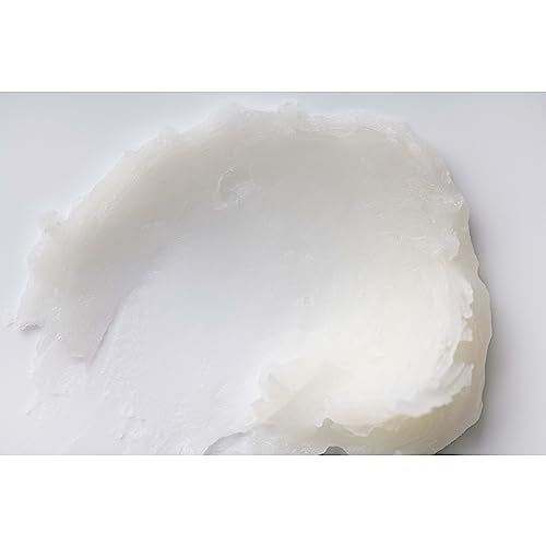 Burt's Bees Coconut and Pear Lip Balm, Lip Moisturizer With Responsibly Sourced Beeswax, Tint-Free, Natural Conditioning Lip Treatment, 1 Tube, 0.15 oz.