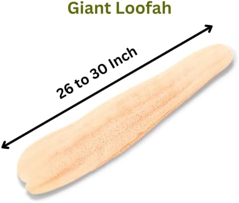 Super Jumbo 26" - 30" Whole Egyptian Loofah 100% Natural Organic Loofah Exfoliating Scrubber for Shower, Natural Loofah Sponge Body Scrubber, for Men and Women