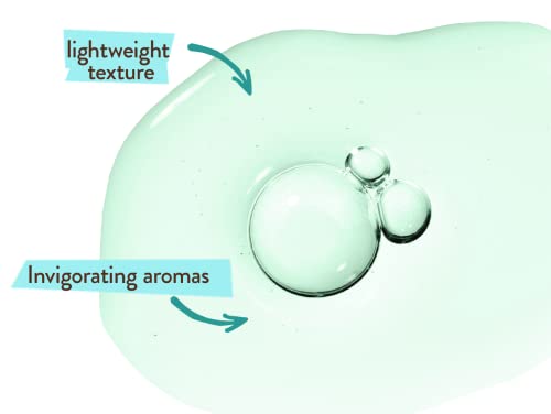 Babo Botanicals Eucalyptus Remedy Shampoo & Wash - Invigorating Eucalyptus & Rosemary Essential Oils -For all Ages - EWG Verified - Vegan - Cruelty Free