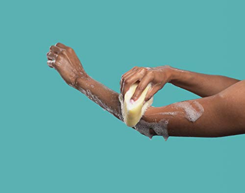 Spongeables Anti Cellulite Body Wash in a 20+ Wash Sponge, Citrus, 3 Count