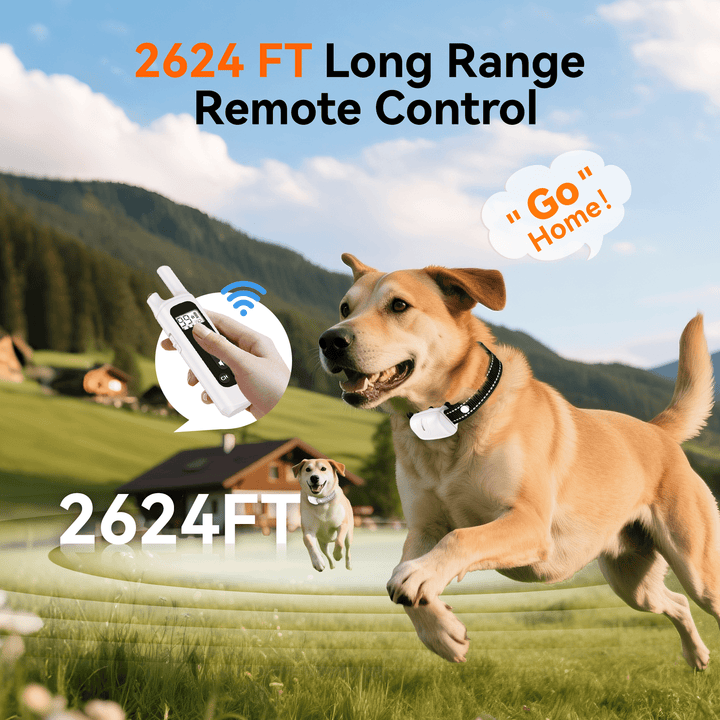 LAKWAR Dog Training Collar 2 Pack- IP67 Waterproof Rechargeable Shock Collars for Small Medium Large Dogs with 2624 ft Remote Range, Beep, Vibration, ShocK Modes & Safe Lock