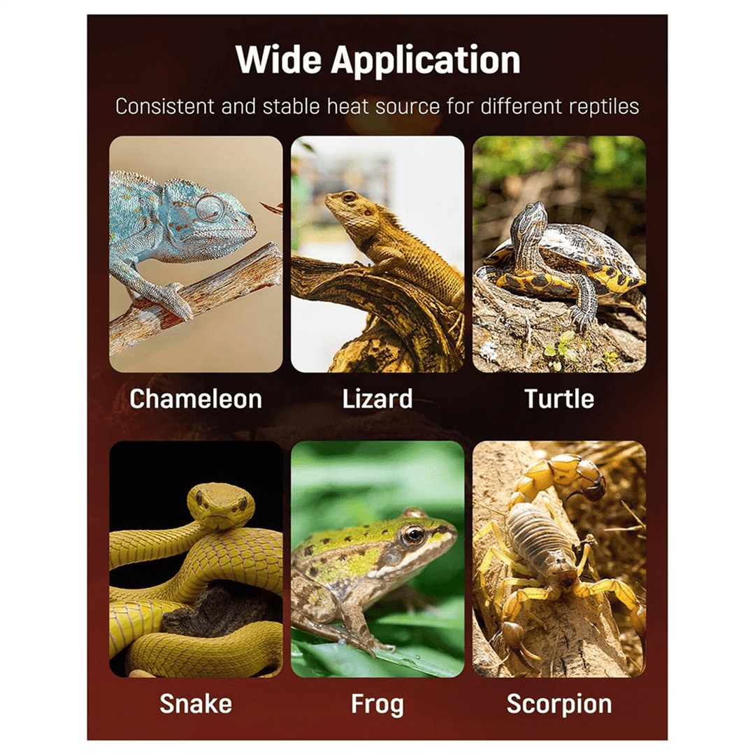 5W Reptile Heating Pad Reptile Heating Pad Under Tank Safe Fast Heating Pad for Frogs Snakes Lizards Geckos US Plug