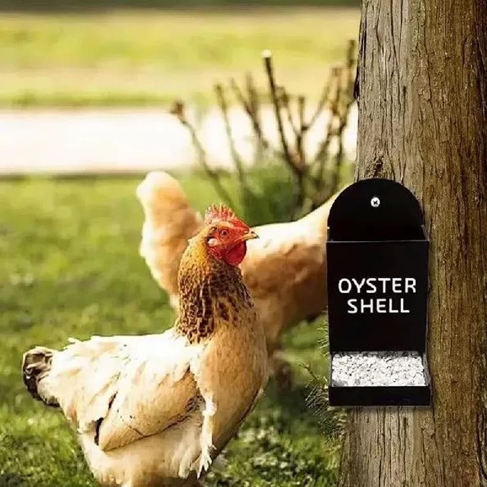 Oyster Shell and Grit Feeder, Hanging Chicken Feeder Trough, Chicken Coop Accessories