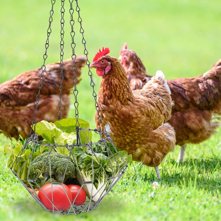 Grusce 2PCS Stainless Steel Chicken Vegetable Hanging Feeder, Large Capacity Chicken Fruit Feeder Reduced Waste for Duck Rabbit