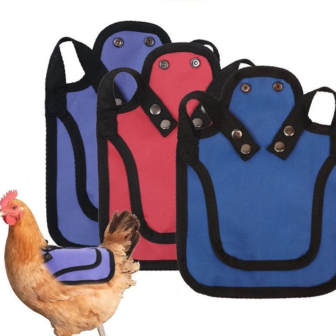 3Pcs Chicken Saddles for Hens - Adjustable Hen Aprons with Side & Back Protection, Comfortable Poultry Feather Protector Vests for Roosting & Mating (Red/Blue/Purple)