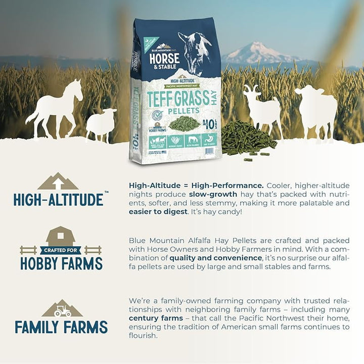 High Altitude Horse Hay Pellets | Ultra Premium Alfalfa, Timothy, Orchard, Teff Hay | Nutrient Dense | Cattle, Sheep, Alpaca, Rabbits (40 LB, Teff Grass)