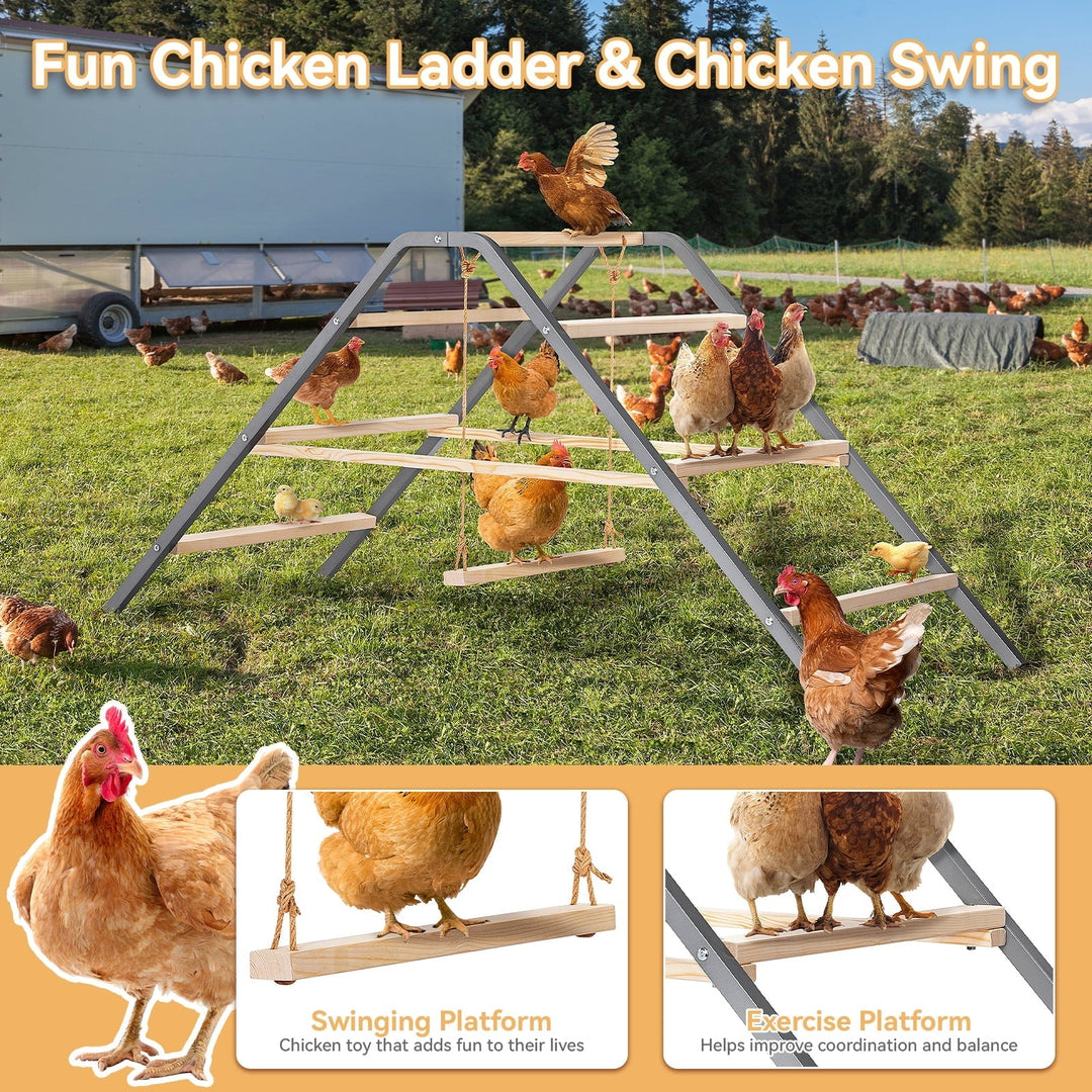PETSFIT Chicken Roosting Bar-Solid Wood and Rustproof Iron Design, Chicken Perch with Swing for Healthy Poultry-Ideal for Backyard Coops, Farms, Easy to Assemble and Clean