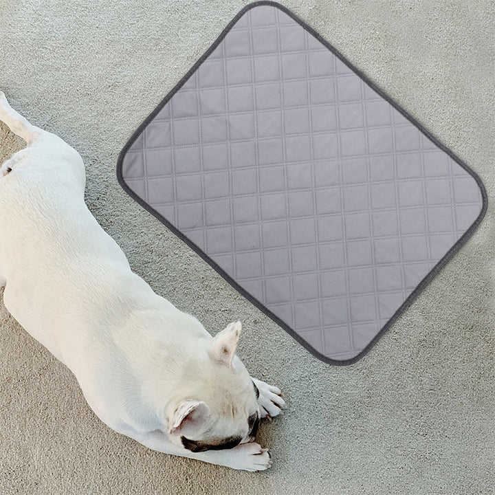 2 Pcs Hamster Cage Mat Small Pet Liners Fleece Bedding for Guinea Pigs Dog Urine Pad